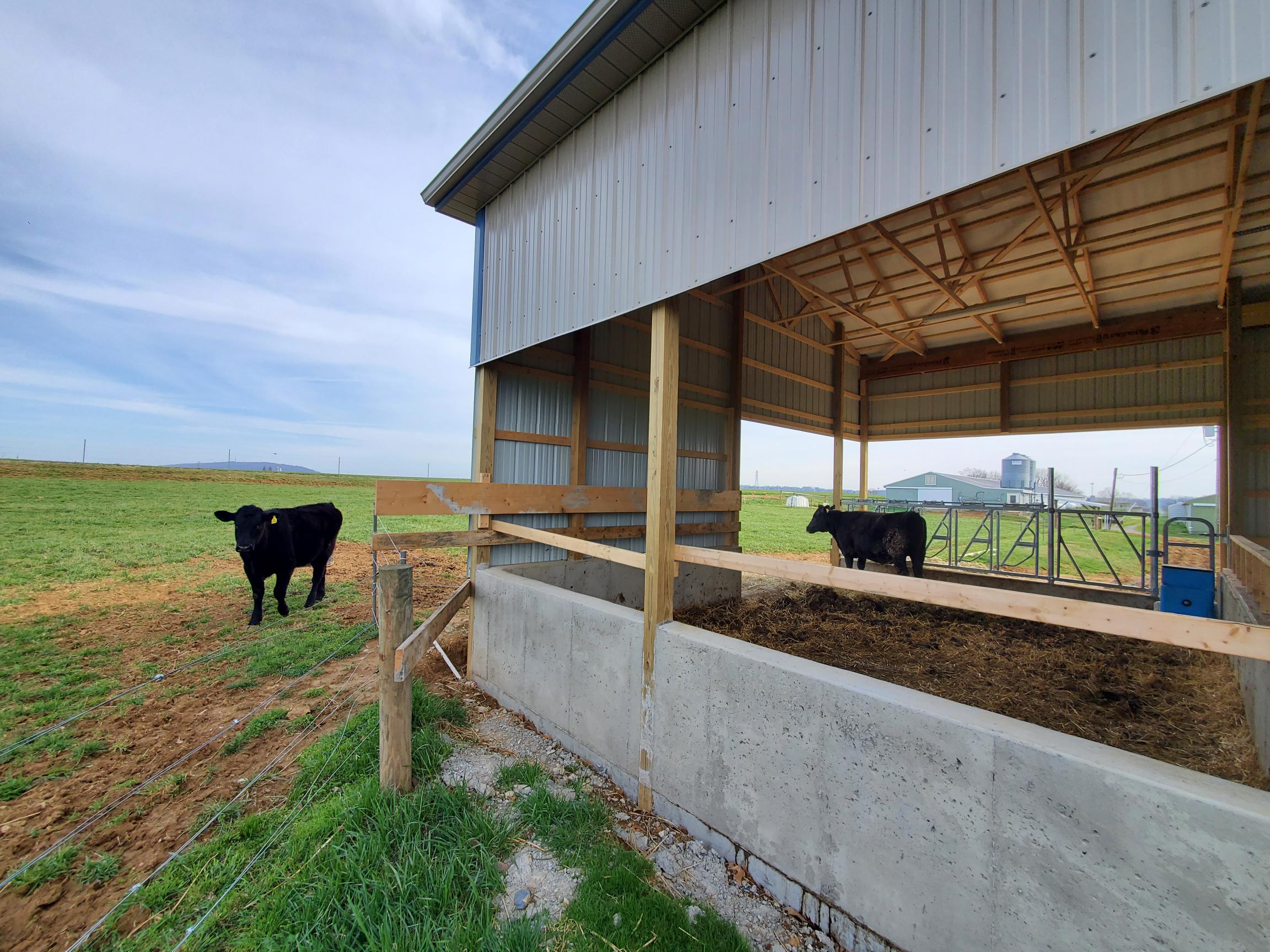 The Benefits of Hiring a Local Horse Barn Builders in Aberdeen Primary Image